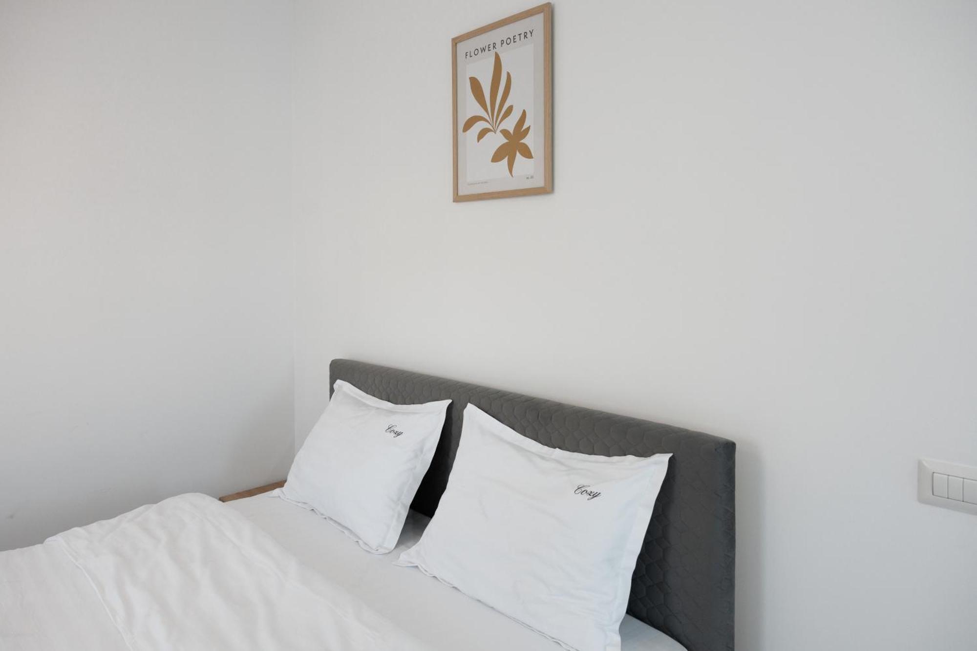 Exclusive Ultracentral Apartments And Studios #Enescu#Universitatii#Suceava Eksteriør billede